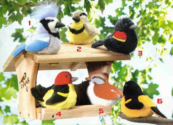 Busy Beak are Happy beaks